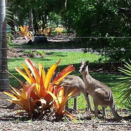 Bluegrass Bnb Acomodação com café da manhã Bundaberg Exterior foto